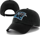 NFL Carolina Panthers Clean Up Adjustable Hat, Black, One Size Fits All Fits All