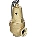 Apollo Valve 10-600 Series Bronze Safety Relief Valve, ASME Hot Water, 150 psi Set Pressure, 1-1/4" NPT Female