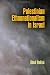 Palestinian Ethnonationalism in Israel: The Transition of Minority Political Activism (National and Ethnic Conflict in the 21st Century Series)