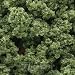 Bushes Bag, Light Green/18 cu. in. Bushes Bag, Light Green/18 cu. in.