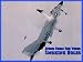 Smoking Holes: Aircraft Accidents Of The 20th Century