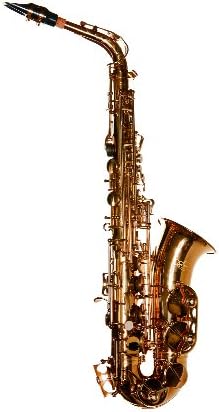 Virtuoso Alto Saxophone By RS Berkeley - Dark Lacquer Finish