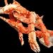 Alaskan King Crab - 5lb.