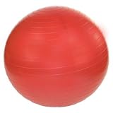 J Fit 18 Professional Exercise Ball 20-1801