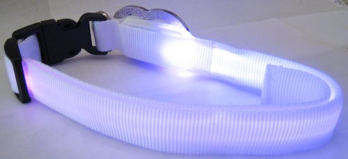 Image #2 of White Nylon Webbing