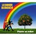 Plante Un Arbre