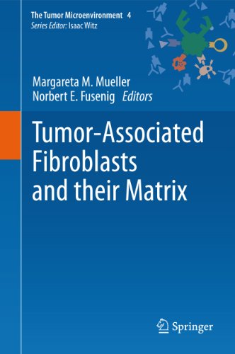Tumor-Associated Fibroblasts and their Matrix: 4 (The Tumor Microenvironment)