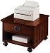 Craftsman Printer Cart 15"hx20.5"w Macintosh Oak