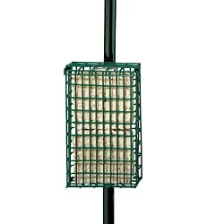 Droll Yankees SFPC-D Suet Feeder Pole Clamp Double