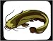 Mouse Pad with fish, catfish, animal, mal Image
