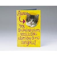 Good Vibrations Kitty Birthday Card