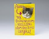Good Vibrations Kitty Birthday Card