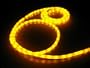 10Ft Rope Lights; School Bus Amber LED Rope Light Kit; 1.0" LED Spacing; Christmas Lighting; outdoor rope lighting