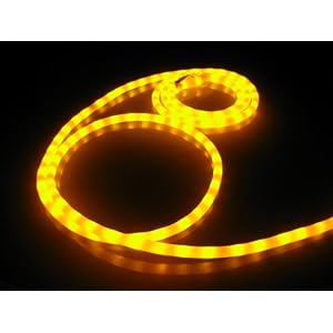 10Ft Rope Lights; School Bus Amber LED Rope Light Kit; 1.0 LED Spacing; Christmas... by 