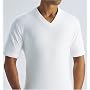 Fruit of the Loom Men's V-Neck Tee 3 Pack