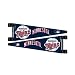 Minnesota Twins Antenna Pennant (Auto Collection)