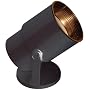 Can Accent Black Floor Light