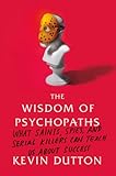 The Wisdom of Psychopaths: What Saints, Spies, and Serial Killers Can Teach Us About Success