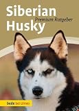 Siberian Husky