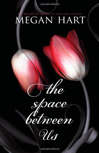 The Space Between Us by Megan Hart