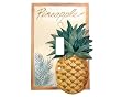 Mango Bay Pineapple Single Switchplate Cover