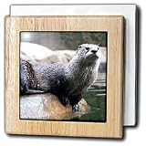 Otter - 6 Inch Tile Napkin Holder