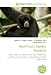 Geoffroy's Spider Monkey