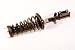 Prime Choice Auto Parts CST100091 Premium New Quick Install Complete Strut Assembly - Rear Passenger Side
