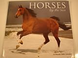 2008 Horses by the Sea 16 Month Pinup Wall Calendar **IN STOCK NOW**