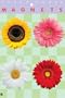 Mixed Spring Flower Gift Set of 4 Magnets