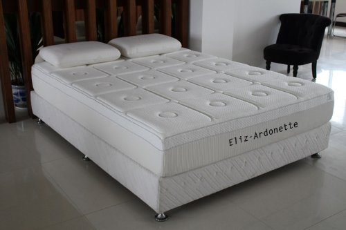 Refurbished Store Display Model: Coronado Supreme 550 14