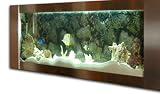 AquaBella Stainless Steel 49 Aquarium