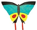 Worlds Apart Butterfly Kite
