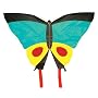 Worlds Apart Butterfly Kite