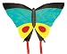 Worlds Apart Butterfly Kite
