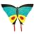 Worlds Apart Butterfly Kite