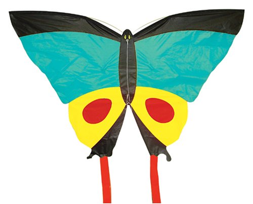 Worlds Apart Butterfly Kite