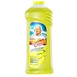 P and G 31501 Summer Citrus Mr Clean