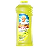 P and G 31501 Summer Citrus Mr Clean