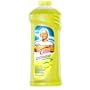 P and G 31501 Summer Citrus Mr Clean