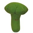 Organic Broccoli by Under The Nile