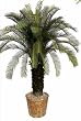 40" Plastic OUTDOOR Cycas Palm Plant