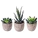 OUNONA 3pcs Faux Succulents/Artificial Cactus/Simulation Cacti Potted Plants Home Bonsai Decor Garden Greenery