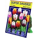TotalGreen 72405700 Tulip Bulbs