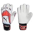Puma v kon Goalkeeper Gloves