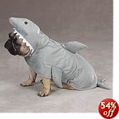 This item last updated: Nov 06, 2010