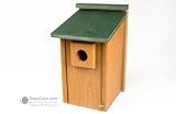 WoodLink Going Green Big Bluebird House
