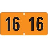 Smead ETYJ Color-Coded Year Label, 2016, Label Roll, Orange, 500 per Roll (68316)