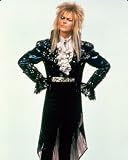 DAVID BOWIE AS JARETH THE GOBLIN KING FROM LABYRINTH - Licensed Photo - Professional Photographic Print - Picture SIZE 10x8 (25x20cm)