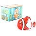 Sea Life Money Box, Clown Fish - ANIMAL GIFTS